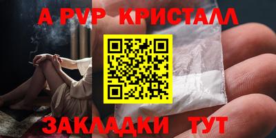 индика Дубна